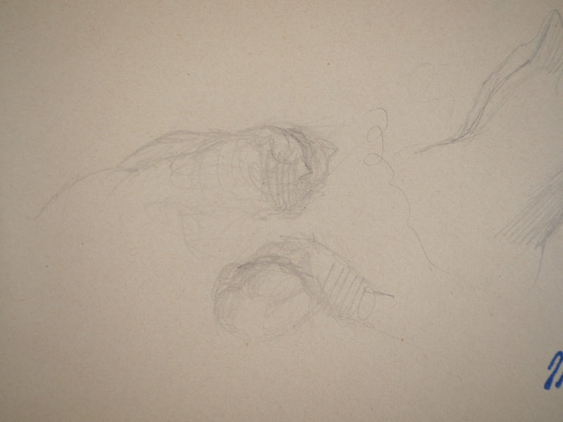 Marie LAURENCIN : Les chatons, Dessin original signé