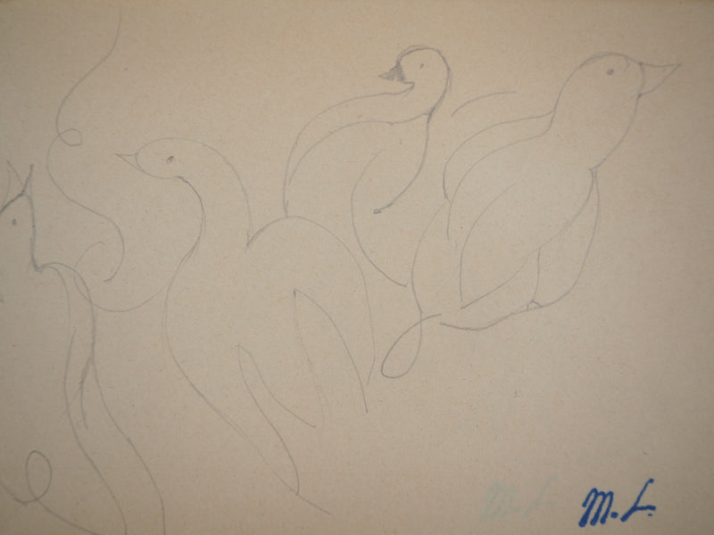 Marie LAURENCIN : Les canards, Dessin original signé