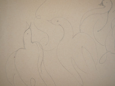 Marie LAURENCIN : Les canards, Dessin original signé