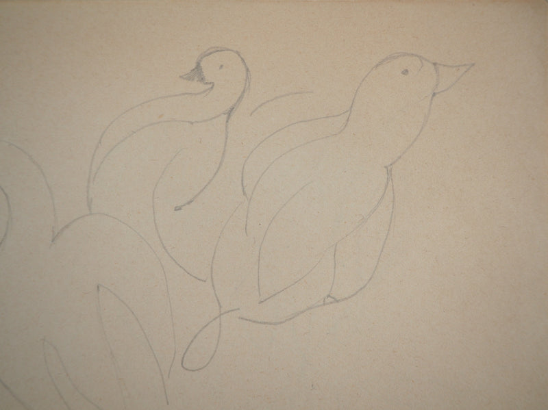 Marie LAURENCIN : Les canards, Dessin original signé