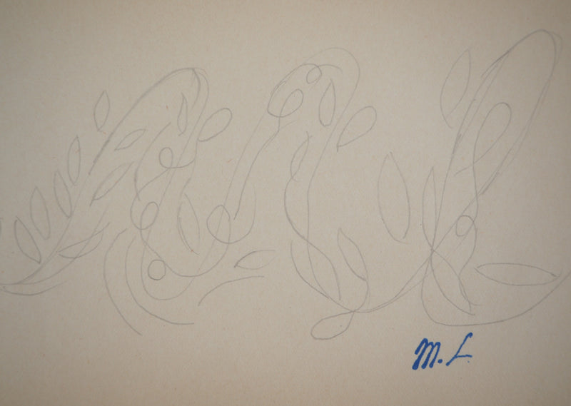 Marie LAURENCIN : Etude d&