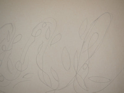 Marie LAURENCIN : Etude d'ornement végétal, Dessin original signé