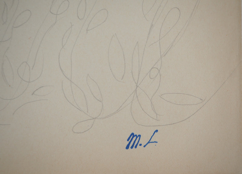 Marie LAURENCIN : Etude d&