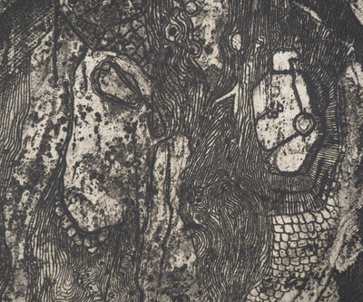 Jean-Pierre VIELFAURE : Obscurité, Gravure originale signée