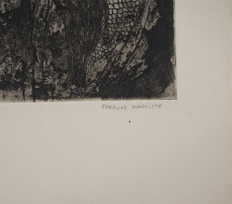 Jean-Pierre VIELFAURE : Obscurité, Gravure originale signée