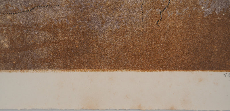 Jean-Pierre VIELFAURE : L&