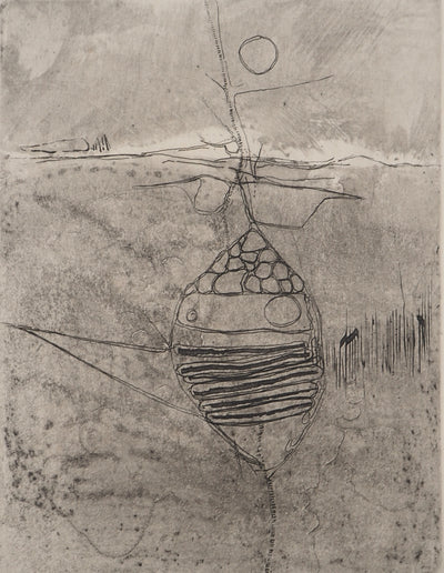 Jean-Pierre VIELFAURE : Vie sous-marine, Gravure originale signée