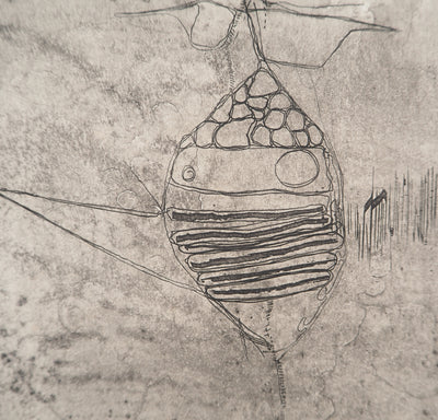 Jean-Pierre VIELFAURE : Vie sous-marine, Gravure originale signée