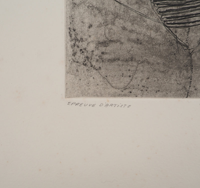 Jean-Pierre VIELFAURE : Vie sous-marine, Gravure originale signée
