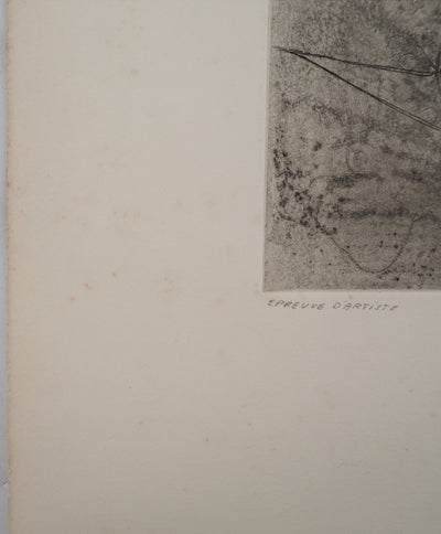 Jean-Pierre VIELFAURE : Vie sous-marine, Gravure originale signée
