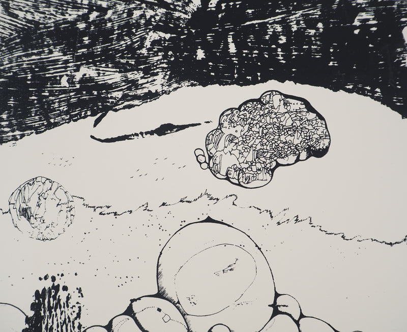 Jean-Pierre VIELFAURE : Composition aux pingouins, Sérigraphie originale signée