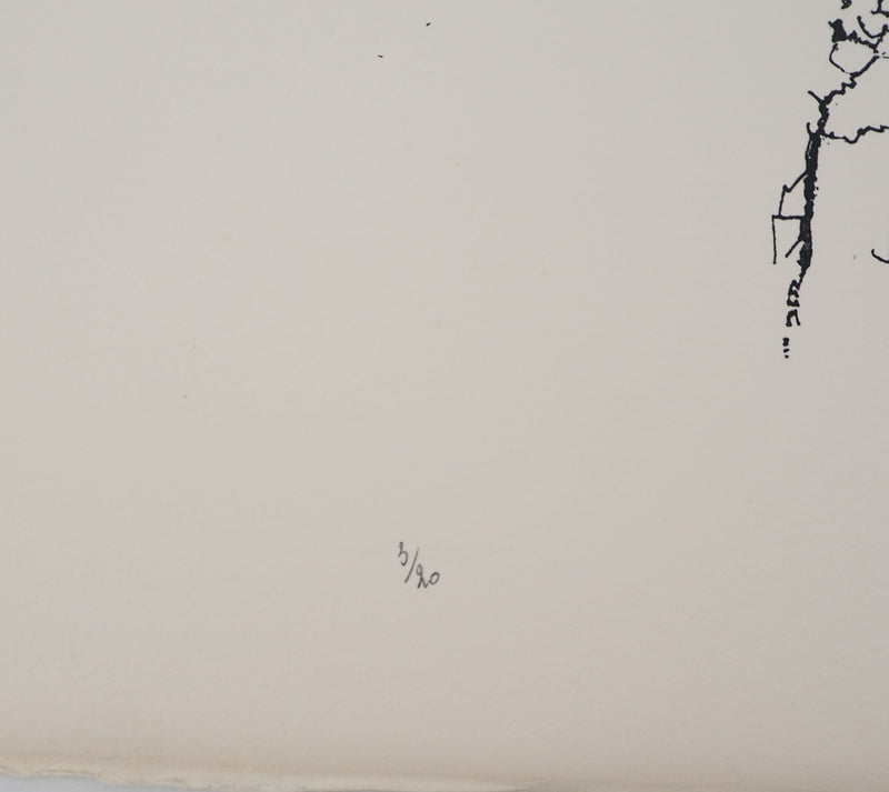 Jean-Pierre VIELFAURE : Rêverie abstraite, Sérigraphie originale signée