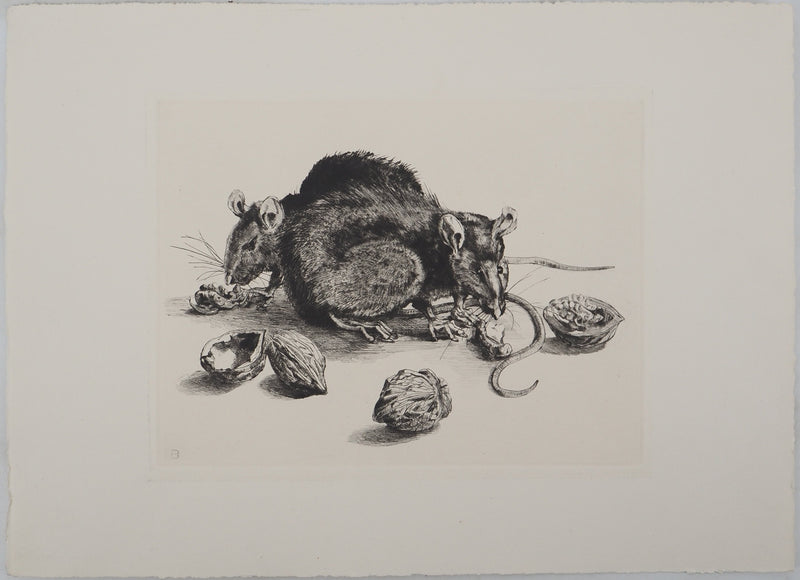 Jean-Eugène BERSIER : Les rats, Gravure originale signée