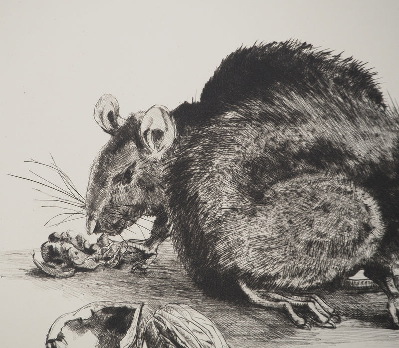 Jean-Eugène BERSIER : Les rats, Gravure originale signée