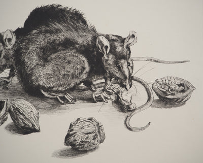Jean-Eugène BERSIER : Les rats, Gravure originale signée