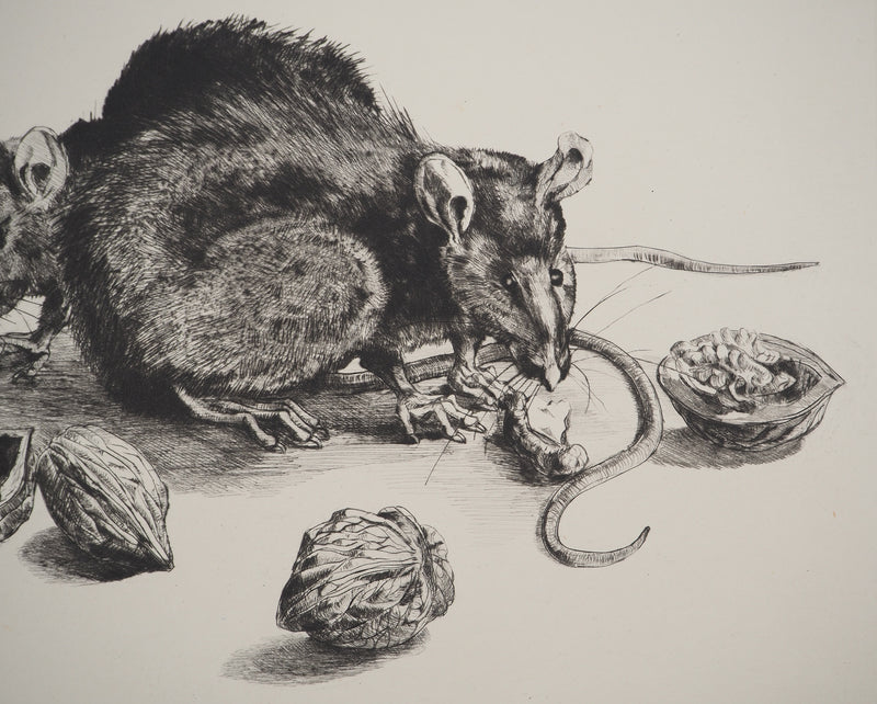 Jean-Eugène BERSIER : Les rats, Gravure originale signée