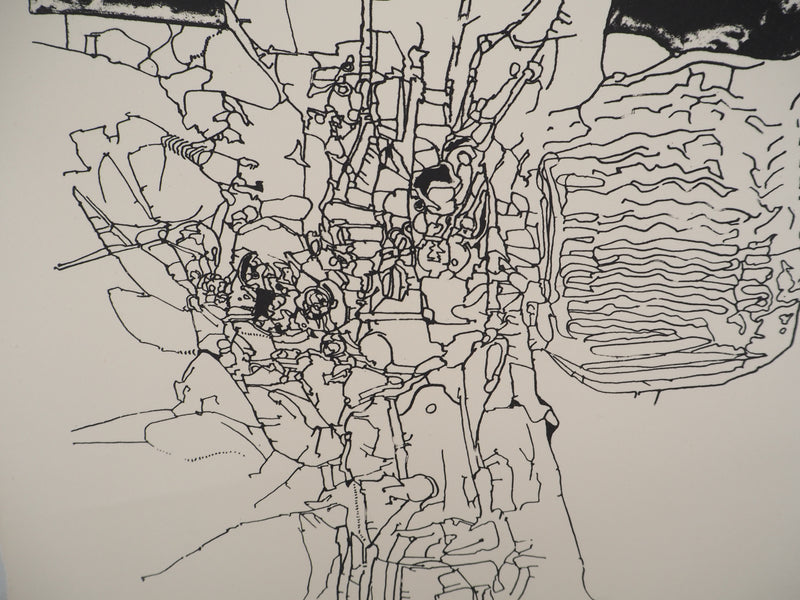 Jean-Pierre VIELFAURE : Sous la surface, Sérigraphie originale signée
