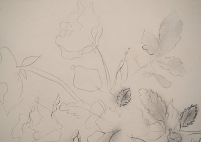 Raoul DUFY : Vase de fleurs, Lithographie