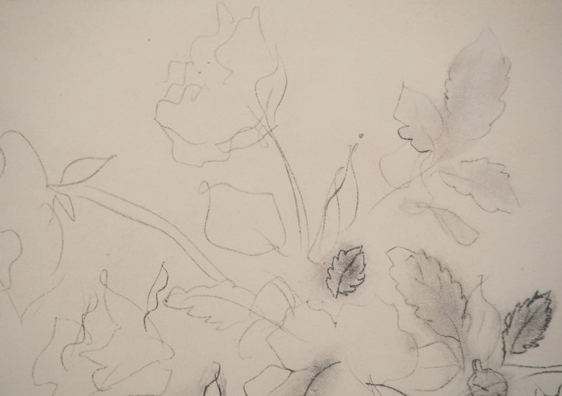 Raoul DUFY : Vase de fleurs, Lithographie