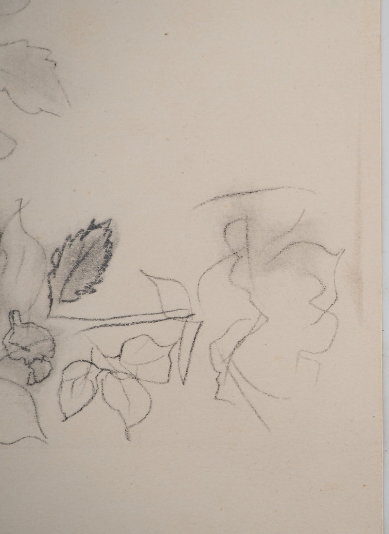 Raoul DUFY : Vase de fleurs, Lithographie