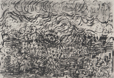 André COTTAVOZ : Les champs, Lithographie originale signée