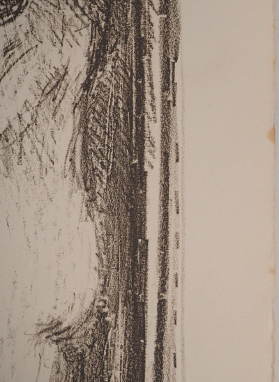 AF André COTTAVOZ, Jubilant crowd, circa 1976, Original lithograph, signed