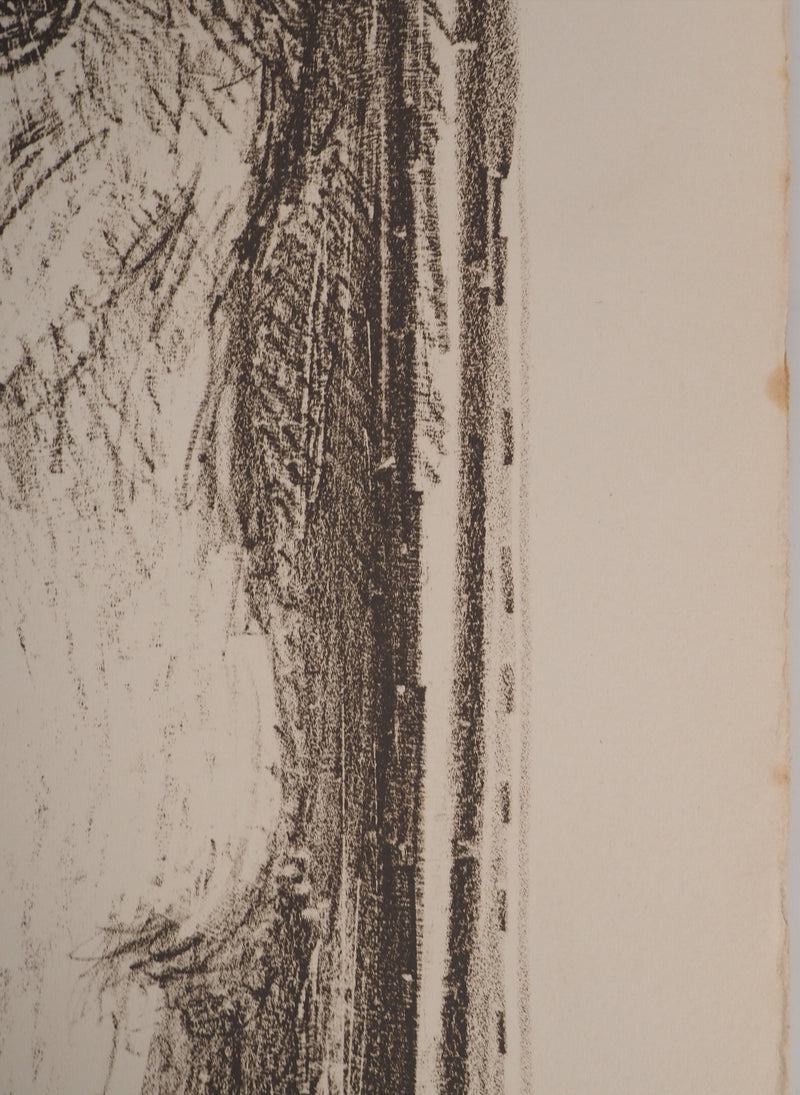 AF André COTTAVOZ, Jubilant crowd, circa 1976, Original lithograph, signed