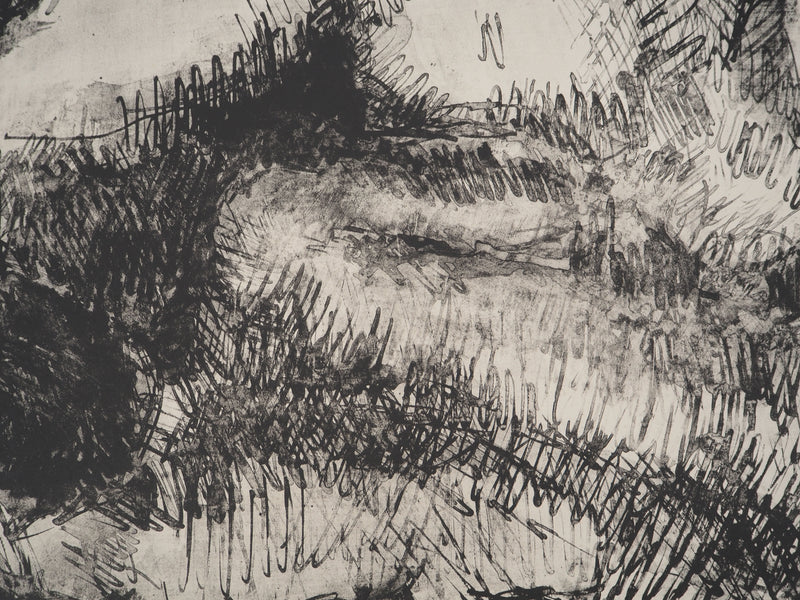 André COTTAVOZ : Les amants, Lithographie originale signée