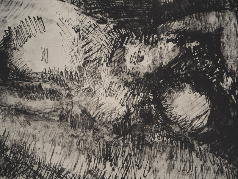 André COTTAVOZ : Les amants, Lithographie originale signée