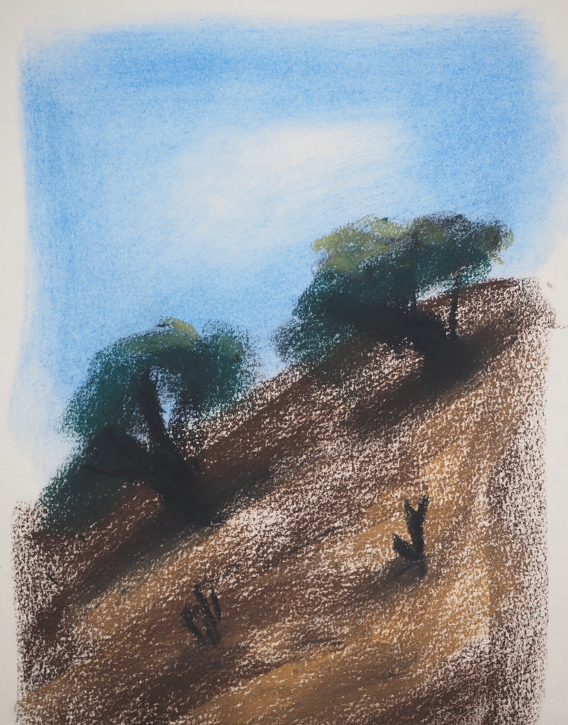 Georges LAPORTE : Les oliviers, Dessin original au pastel signé