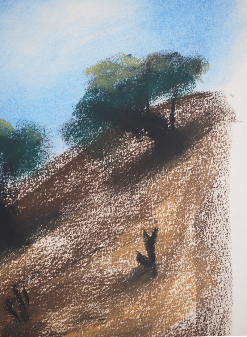 Georges LAPORTE : Les oliviers, Dessin original au pastel signé