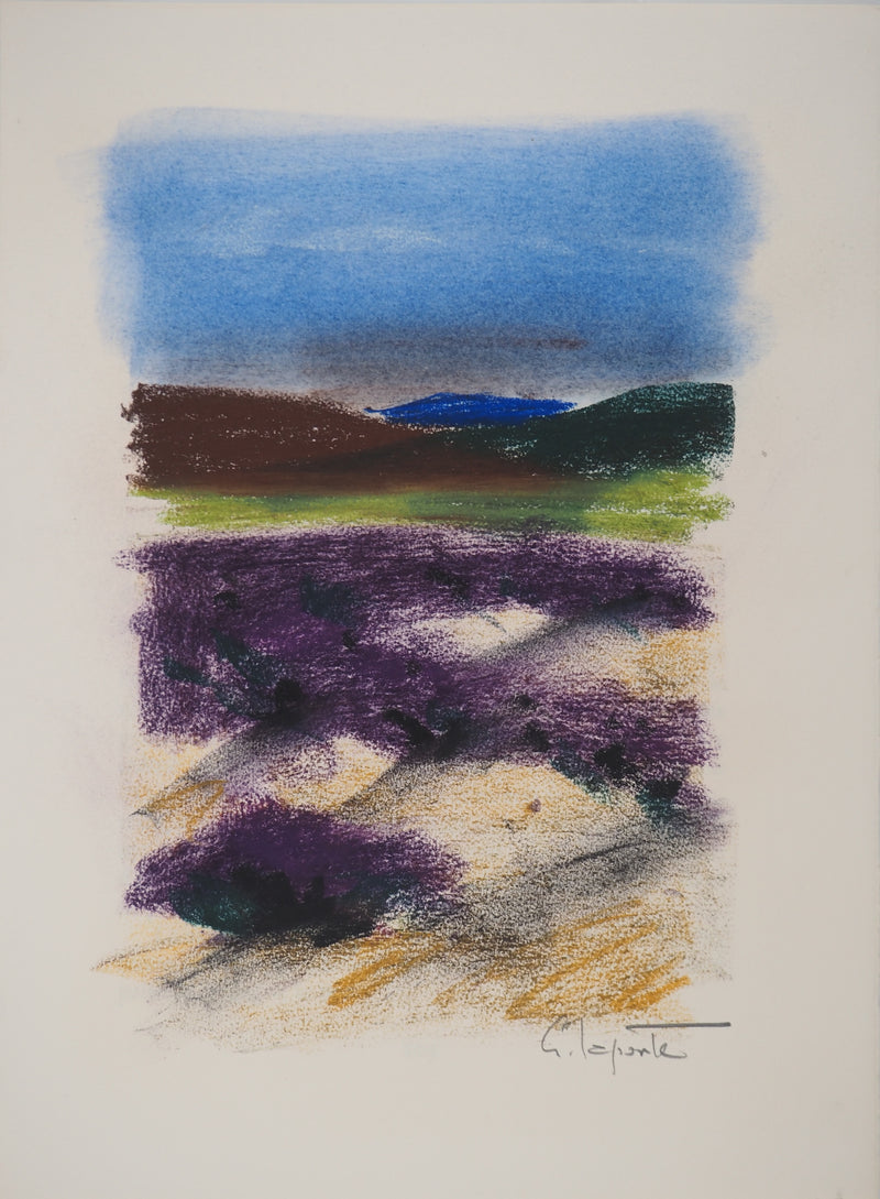 Georges LAPORTE : Les champs de lavande, Dessin original au pastel signé