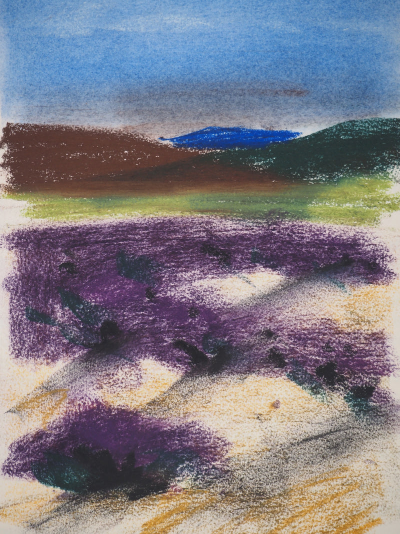Georges LAPORTE : Les champs de lavande, Dessin original au pastel signé