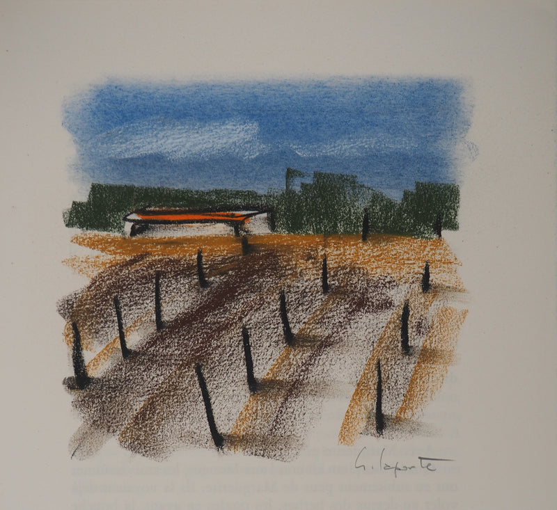 Georges LAPORTE : Vignes sous le soleil, Dessin original au pastel signé