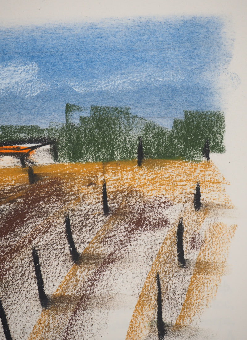 Georges LAPORTE : Vignes sous le soleil, Dessin original au pastel signé