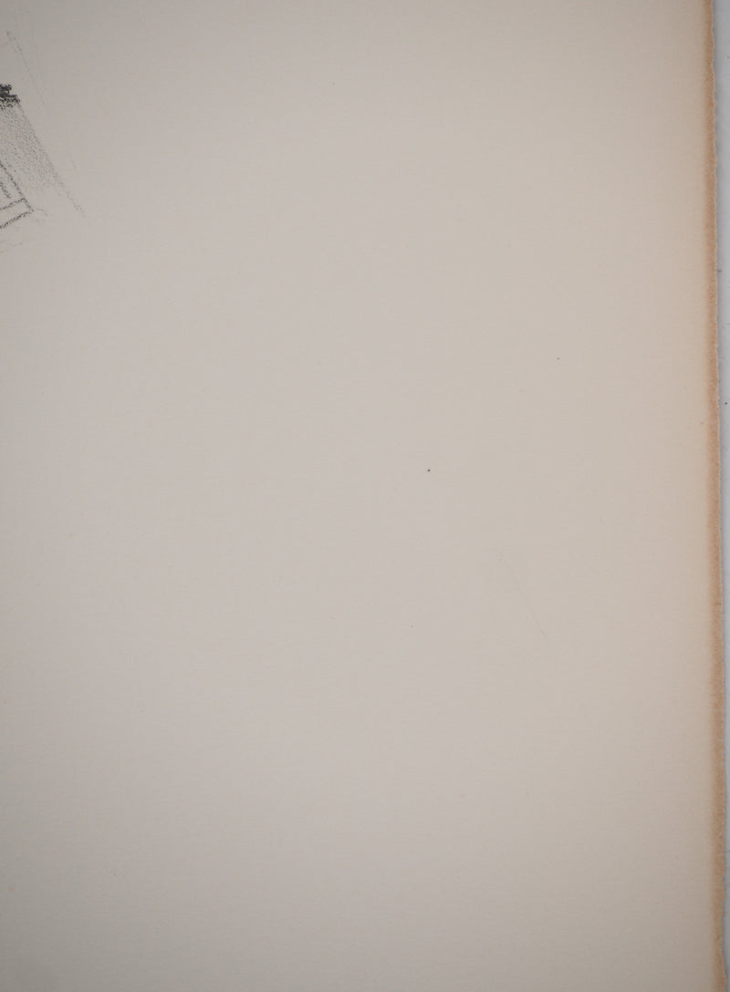 Costa TSOCLIS : La petite conserve, Lithographie originale signée