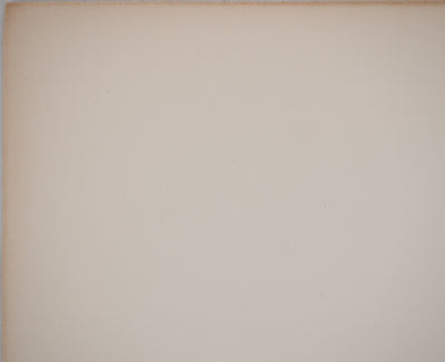 Costa TSOCLIS : La petite conserve, Lithographie originale signée