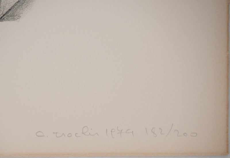 Costa TSOCLIS : La pomme au milieu du chaos, Lithographie originale signée