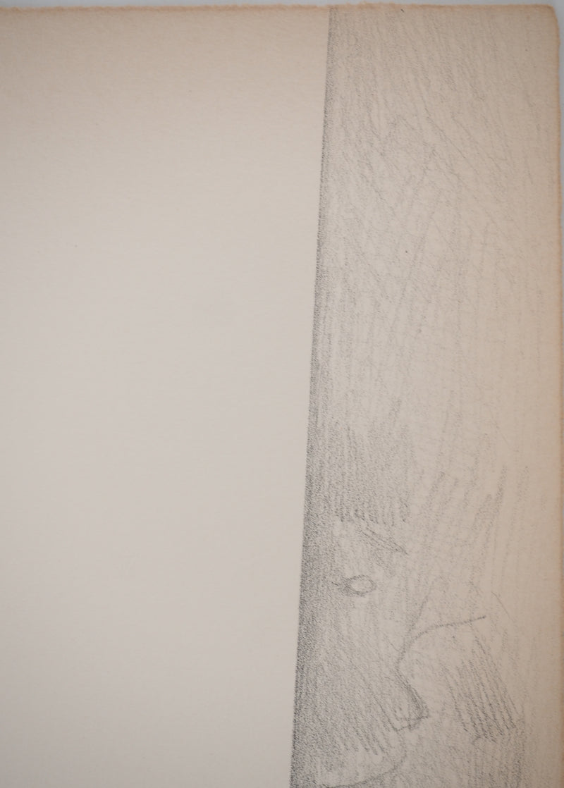 Costa TSOCLIS : Papiers froissés, Lithographie originale signée
