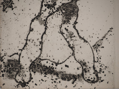Claude ABEILLE : L'âne Catitipède, Gravure originale (photo de détail 6) - Crédit photo : Galerie Art.Paris