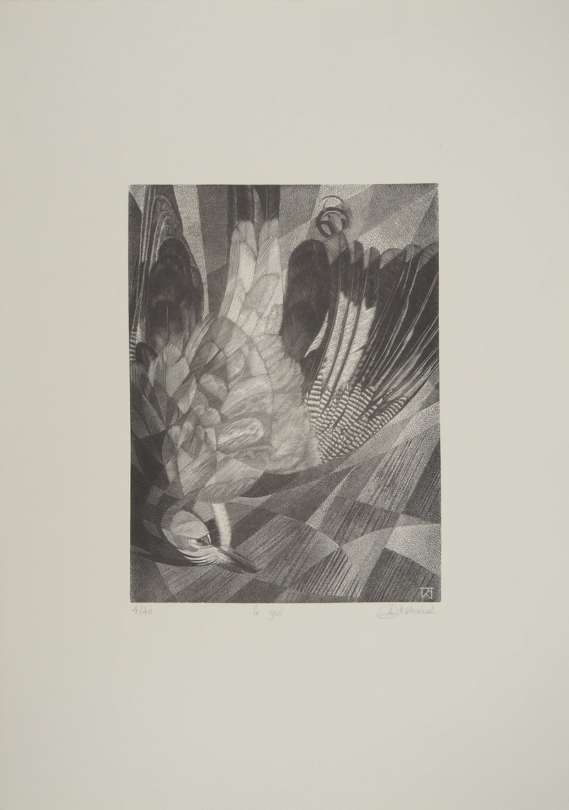 Tiennick KEREVEL : Oiseau : Le Geai, Gravure originale (photo de détail 2) - Crédit photo : Galerie Art.Paris