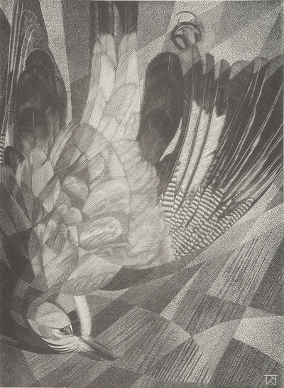 Tiennick KEREVEL : Oiseau : Le Geai, Gravure originale (vue générale) - Crédit photo : Galerie Art.Paris