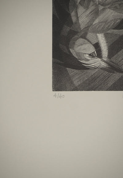 Tiennick KEREVEL : Oiseau : Le Geai, Gravure originale (photo de détail 4) - Crédit photo : Galerie Art.Paris