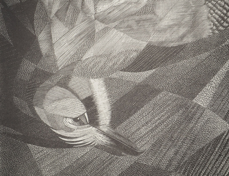 Tiennick KEREVEL : Oiseau : Le Geai, Gravure originale (photo de détail 5) - Crédit photo : Galerie Art.Paris