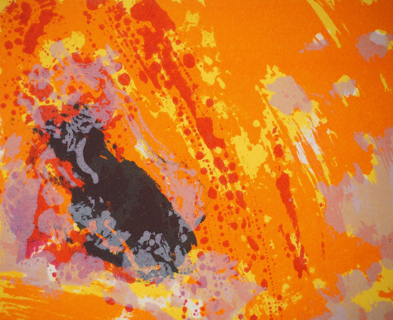 Maurice Élie SARTHOU : Paysage explosive , Lithographie originale (photo de détail 5) - Crédit photo : Galerie Art.Paris