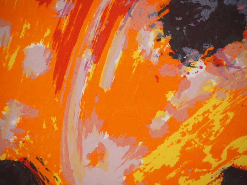 Maurice Élie SARTHOU : Paysage explosive , Lithographie originale (photo de détail 6) - Crédit photo : Galerie Art.Paris