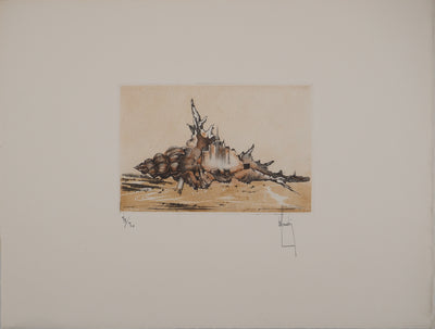 Bernard LOUEDIN : Coquillage, Gravure originale (vue générale) - Crédit photo : Galerie Art.Paris