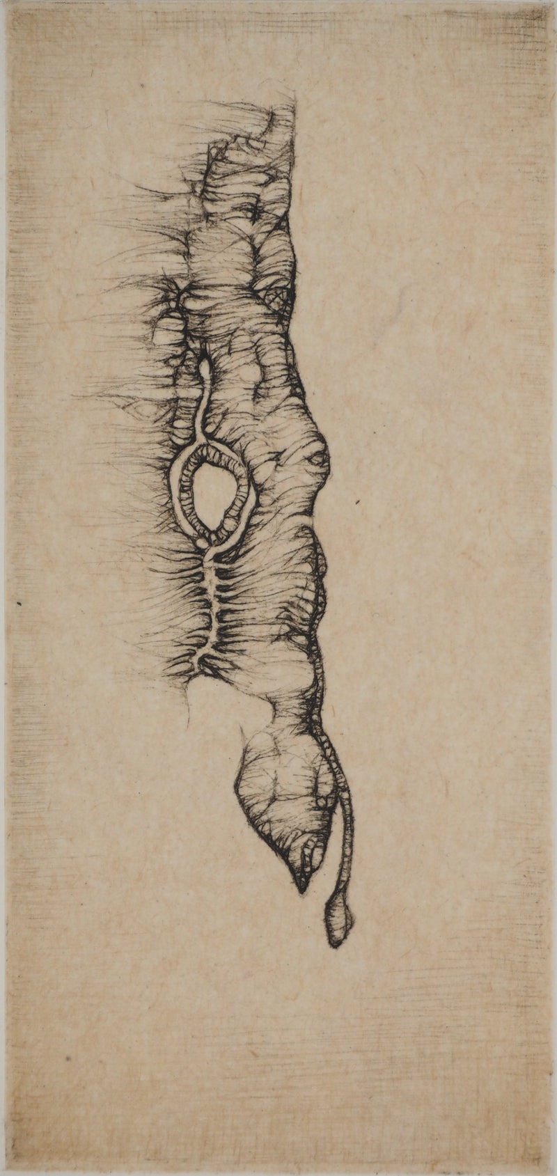 Fred DEUX : Petit manuel : Verbe noir, Gravure originale (photo de détail 3) - Crédit photo : Galerie Art.Paris