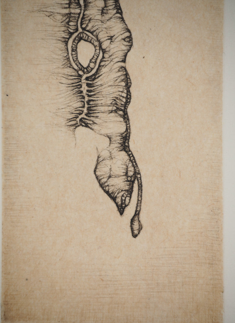 Fred DEUX : Petit manuel : Verbe noir, Gravure originale (photo de détail 4) - Crédit photo : Galerie Art.Paris