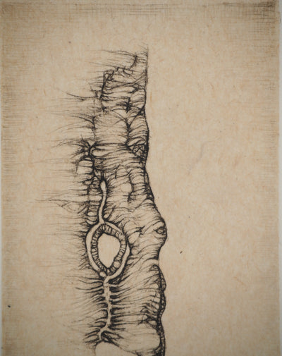 Fred DEUX : Petit manuel : Verbe noir, Gravure originale (photo de détail 5) - Crédit photo : Galerie Art.Paris